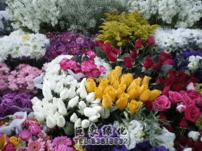 我國花卉市場的現(xiàn)狀及發(fā)展趨勢簡析