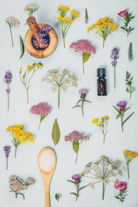 李子醬匙 點亮生活的花卉藝術